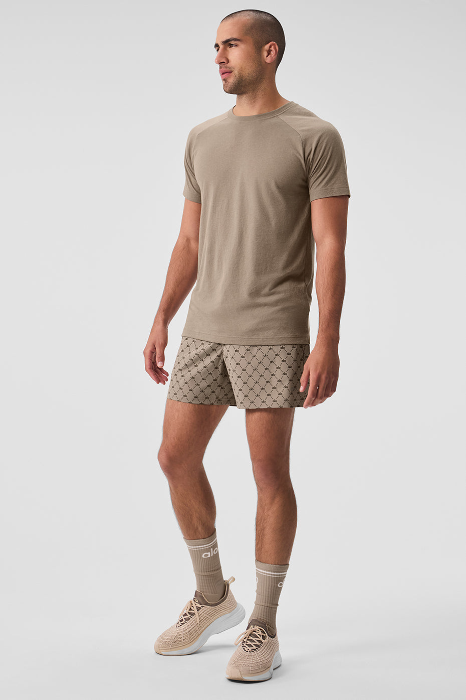 Triumph Raglan Tee - Gravel--4