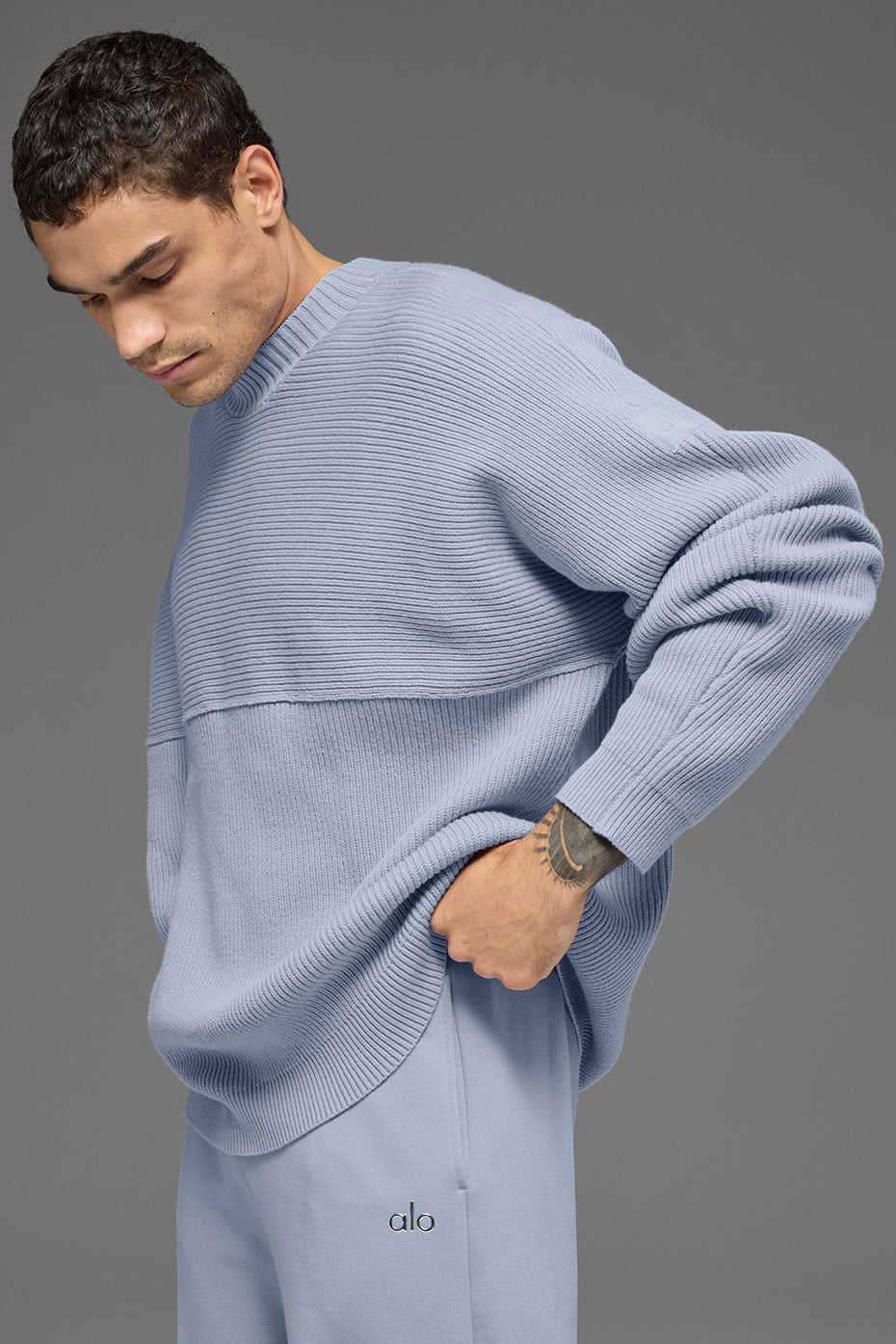 Domain Shift Rib Knit Sweater Crew - Winter Frost--2
