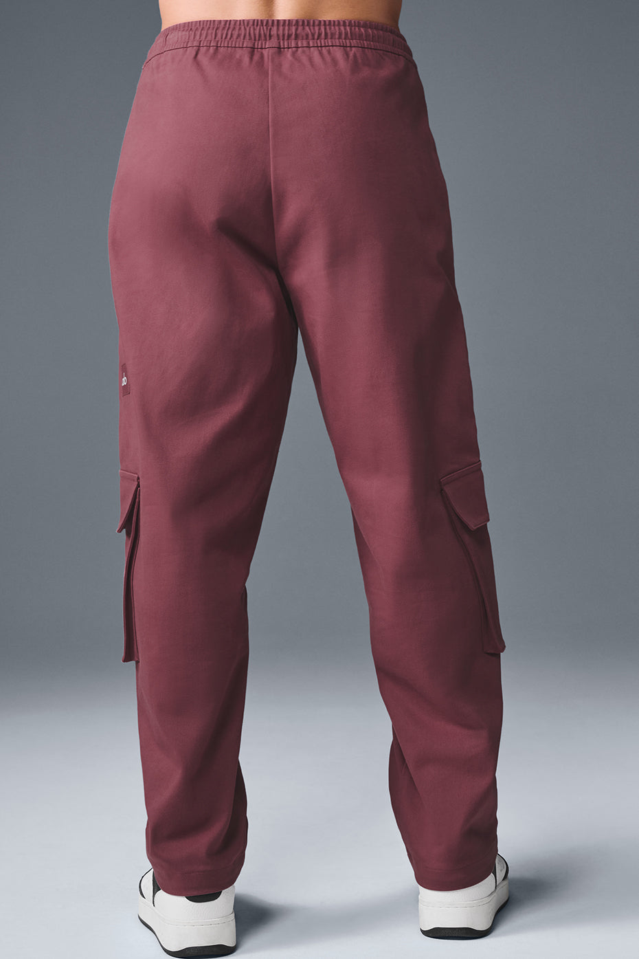 Northstar Cargo Pant - Burgundy Truffle--1