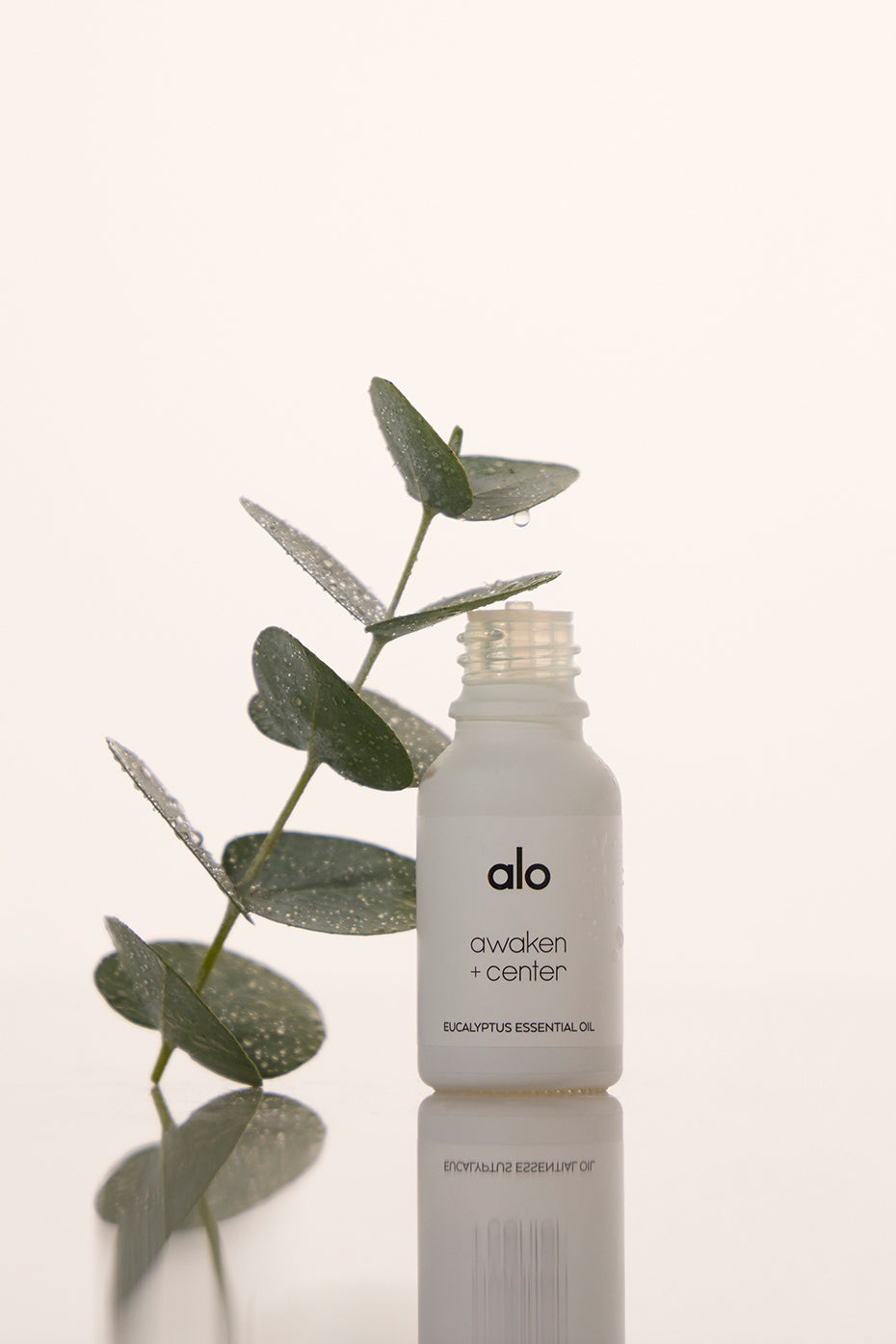 Awaken & Center Essential Oil (Eucalyptus)--0