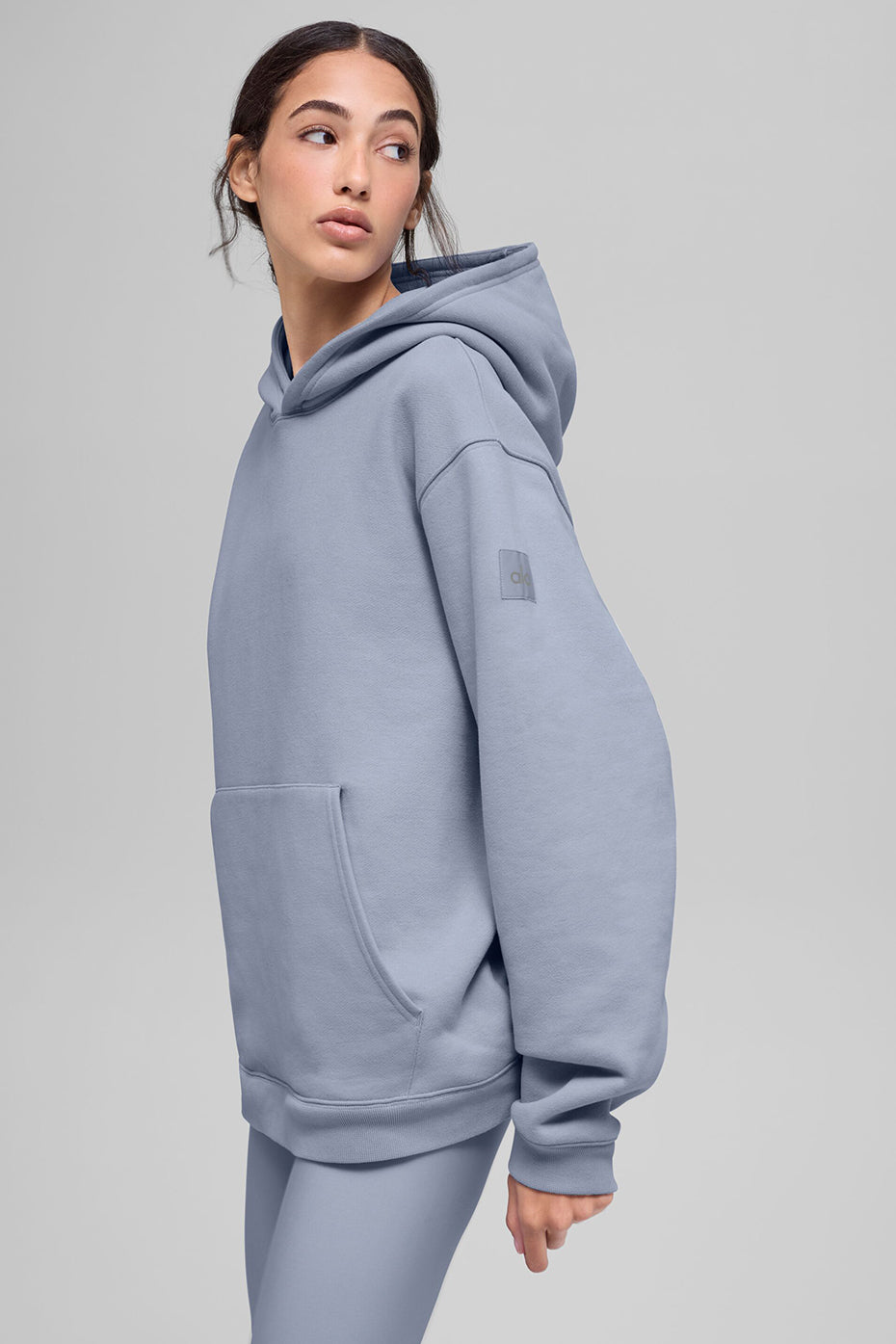 Renown Heavy Weight Hoodie - Winter Frost--2
