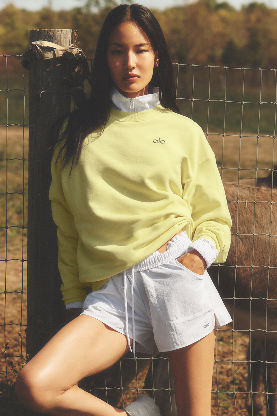 Accolade Crew Neck Pullover - Sunshine--0