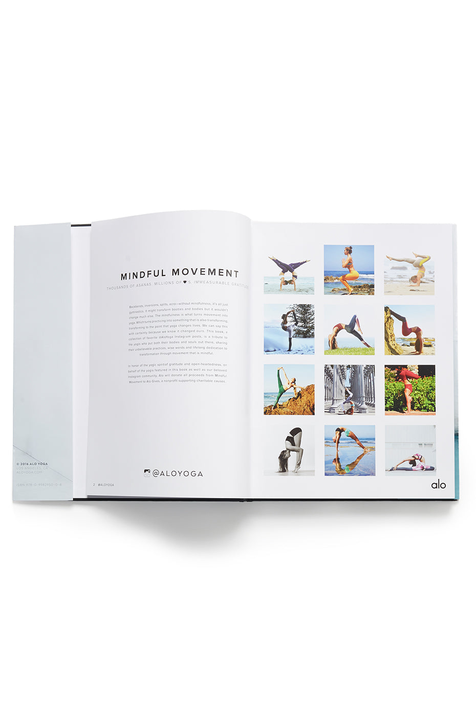 Mindful Movement, a book by ALO--2