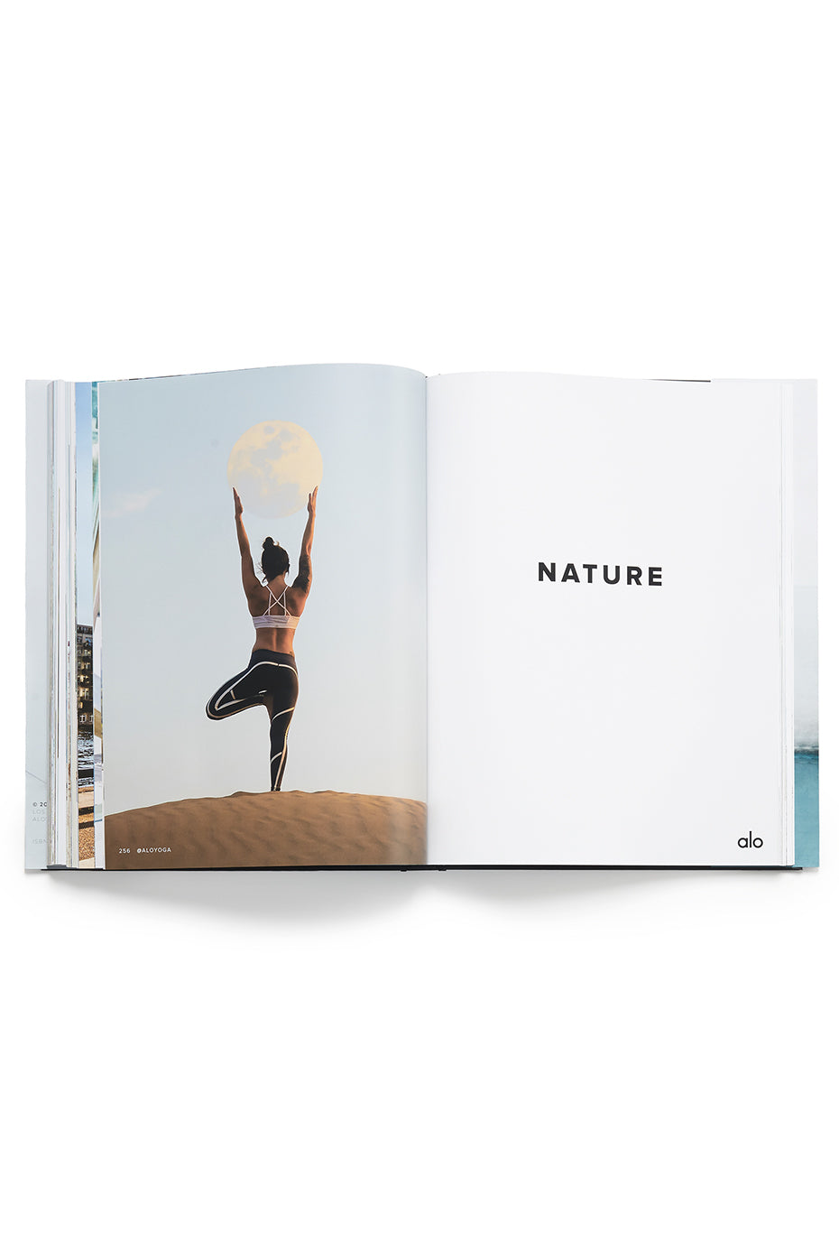 Mindful Movement, a book by ALO--7