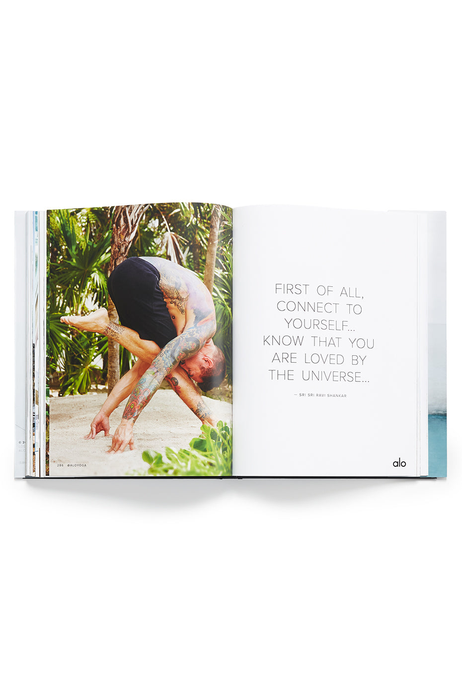 Mindful Movement, a book by ALO--8